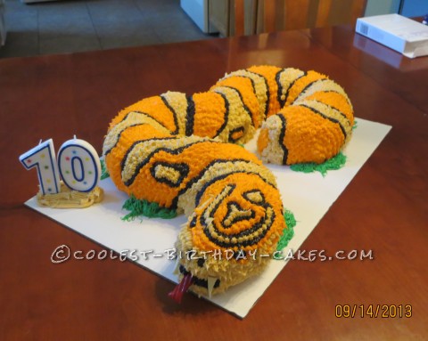 Coolest Homemade Snake Cakes