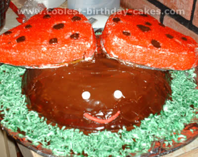 Coolest Ladybug Cake Photos and How-To Tips