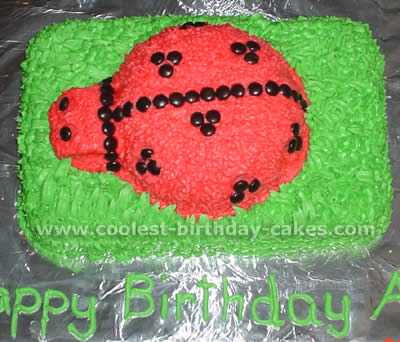 Coolest Ladybug Cake Photos and How-To Tips