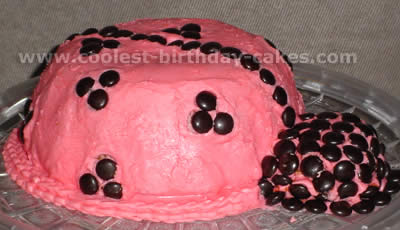 Coolest Ladybug Cake Photos and How-To Tips