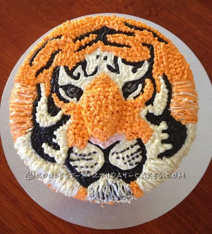 Tiger Cake for 3rd Birthday