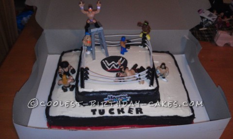 WWE Wrestling Edible Birthday Cake Topper Easy Peel Icing round | eBay