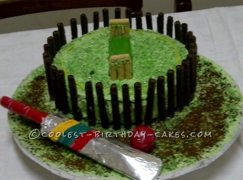 cricket pitch cakes - Google Search | Cricket birthday cake, Cricket theme  cake, Cricket cake