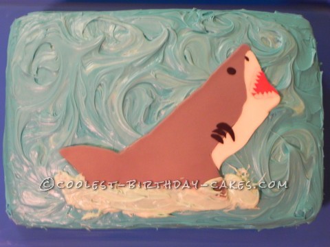Jaws Shark Cake - Buy Online, Free UK Delivery — New Cakes