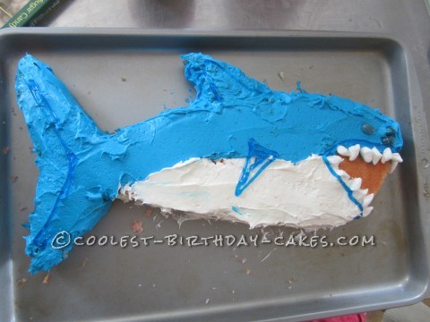 Coolest Shark Birthday Cake