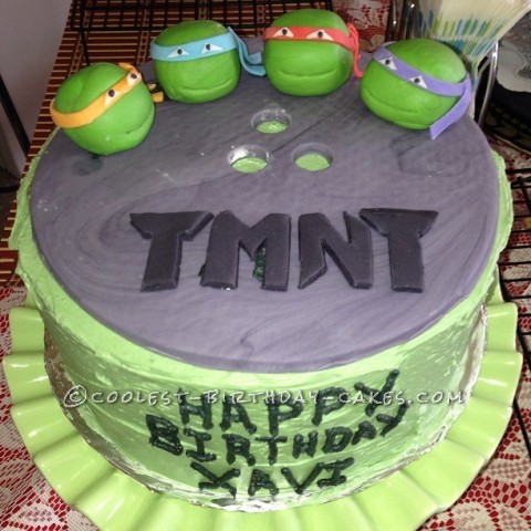 Cool Homemade Teenage Mutant Ninja Turtles Birthday Cake