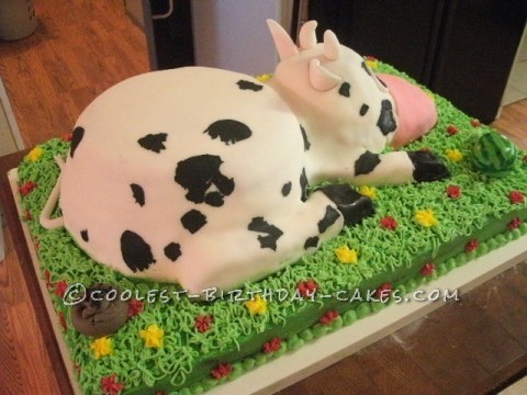 Cute Cow DIY Birthday Cake Kit | Cake 2 The Rescue