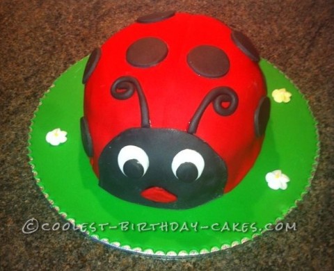 Cute Homemade Ladybird Cake