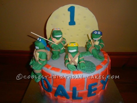 Coolest Ninja Turtles Birthday Cake