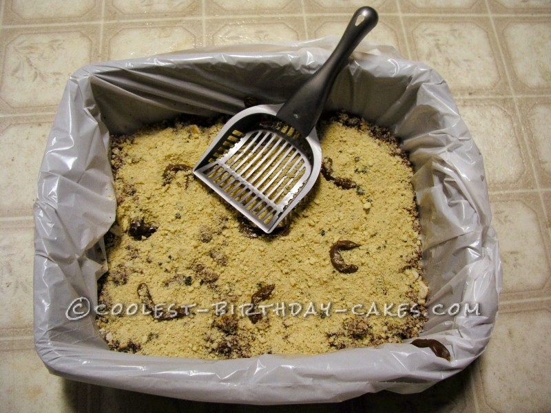 homemade kitty litter