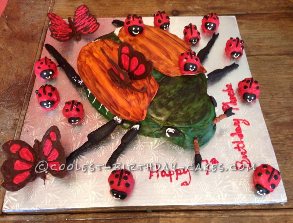 Bee and Lady Beetle Garden Cake - Order Online | Sydney Delivery