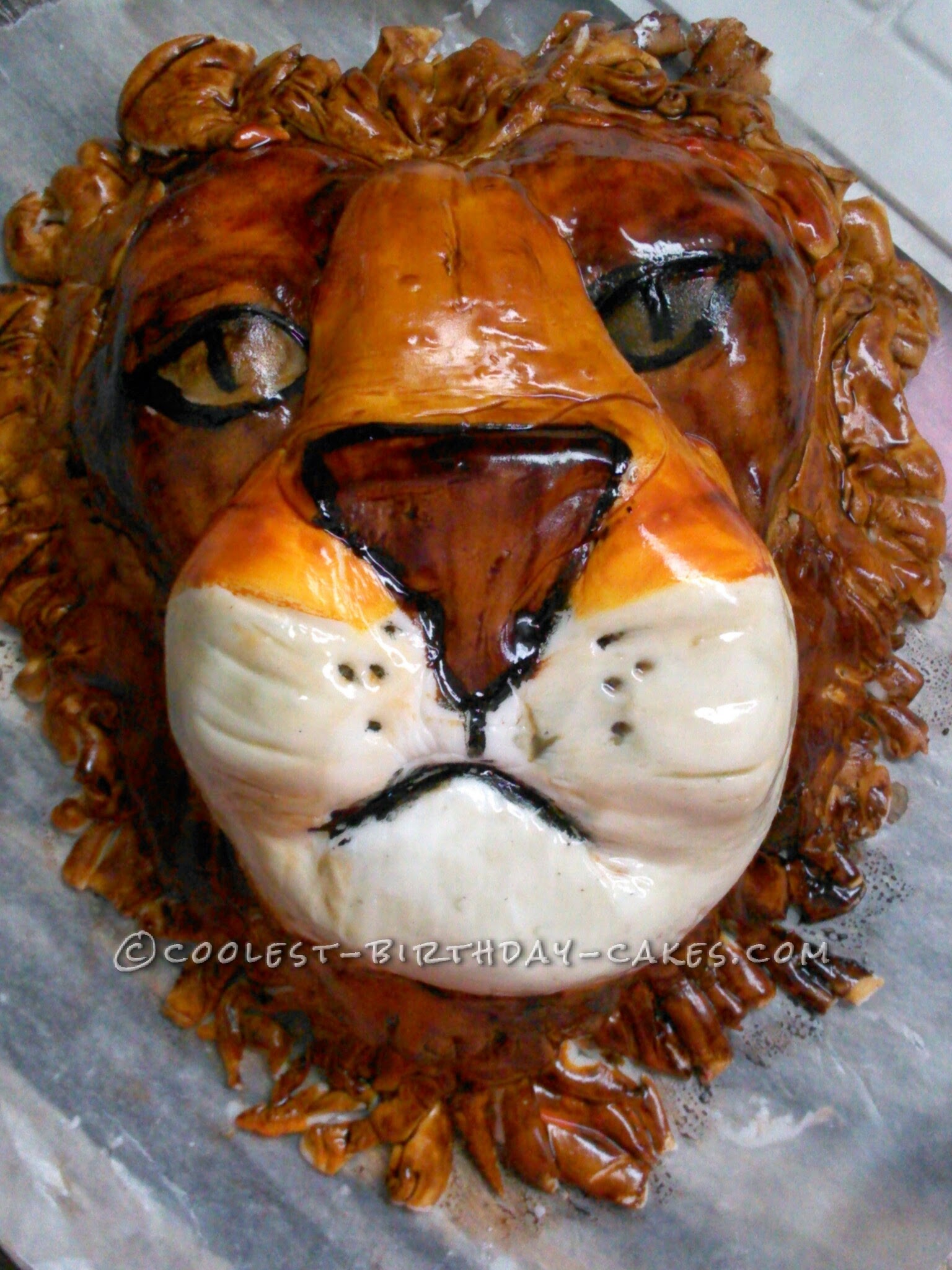 Lion Head Birthday Cake - Kidd's Cakes & Bakery