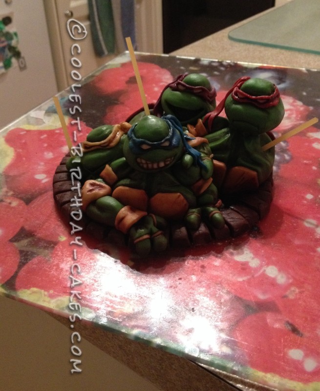 Amazing Teenage Mutant Ninja Turtles Birthday Cake