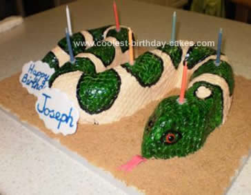 Coolest Homemade Snake Birthday Cake Decorating Idea
