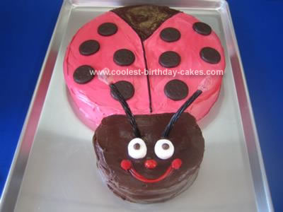 Homemade LadyBug Birthday Cake