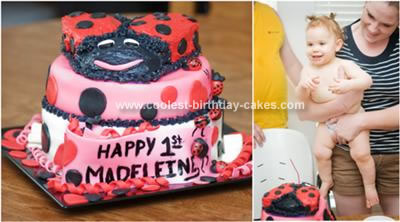 Homemade Ladybug Birthday Cake