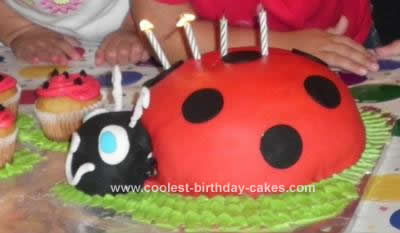 Homemade Ladybug Birthday Cake