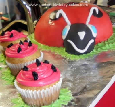 coolest-ladybug-birthday-cake-144-21445387.jpg