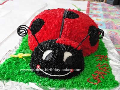 Homemade Ladybug Birthday Cake Design