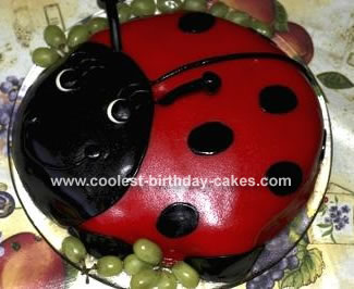 Ladybug Cake with Almond Paste