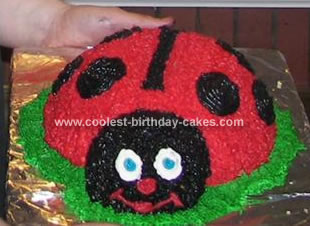 Coolest Ladybug Cake