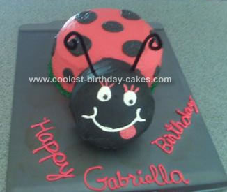 Homemade Ladybug Homemade Cake