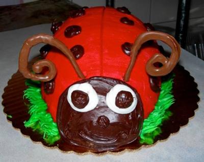 Cool Homemade Lady Bug Cake