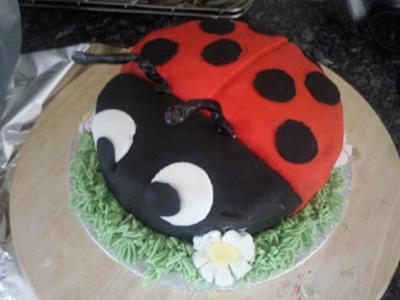 Ladybird Cake