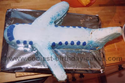 Airplane Cake Topper Airplane Bear Cake Decoration Boy Birthday Cake  Decorations | eBay